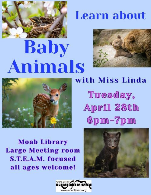 Baby Animals Apr2026