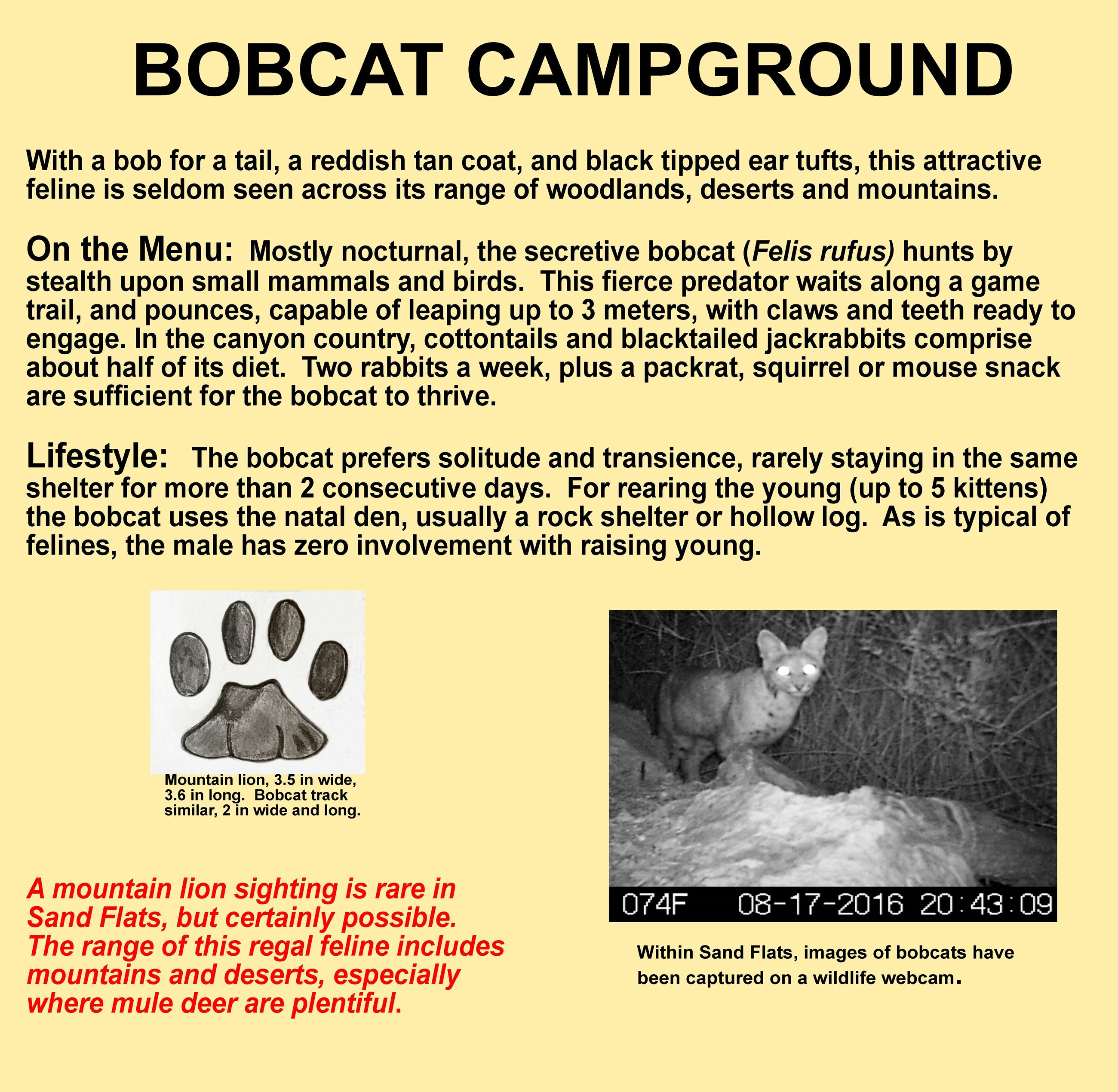 Bobcat Campground